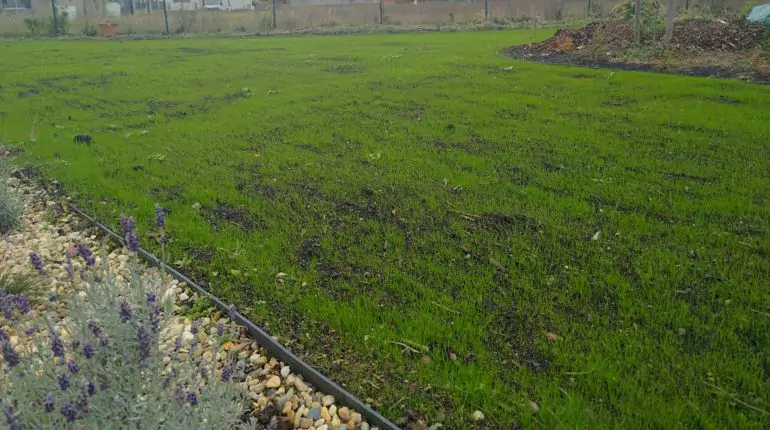 Na nový trávník se těší rodina v okr. Litoměřice. Odtěžení vrstvy jílu, bude krásná nová půda, instalace závlahy, výsev trávníku. slideshow12