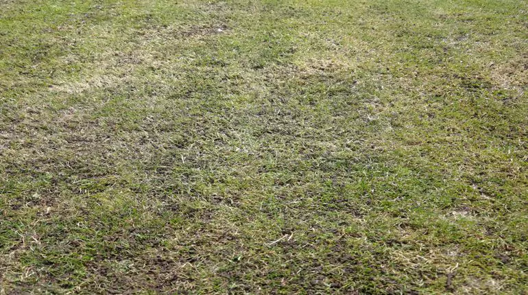 Oživení trávníku v Račicích. Odhalení povrchu, odlehčení půdy, zapravení sklopísku, topdressing, leveling, přesev. slideshow6