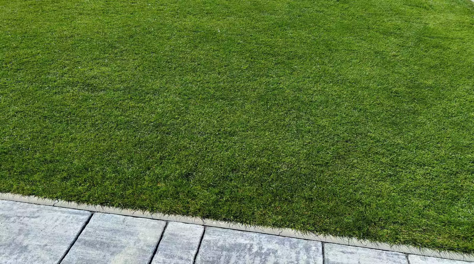 Pokládka travního koberce v Rohatcích. Zapravení směsi, nivelace svrchní vrstvy, položení travního koberce, plán následné péče. slideshow14